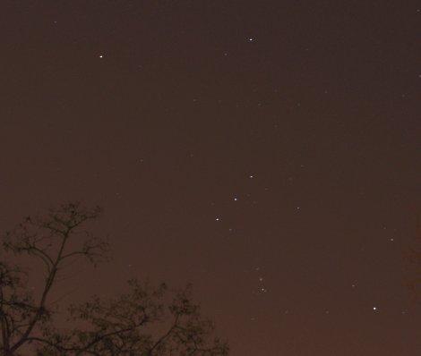 Orion